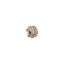 Picture of CANELA Tool 1430900250 Milling 75.0°, Face Mill Cutter 2.50 Diameter Shell Arbor 1.0000