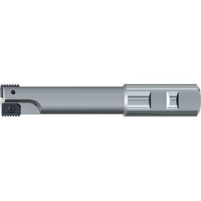 Picture of EMUGE GZ301330 Indexable Thread Mill M25 x 0.50MM-2.50MM Cutter Diameter 5.905 OAL Carbide