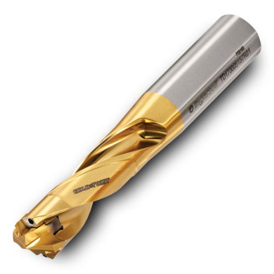 Picture of INGERSOLL TD2100063S1R01 0.8268 (21.000 mm)-0.8622 (21.900 mm) GoldTwist Body