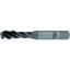 Picture of OSG 2933601 3/4-10.00TPI Cut Spiral Flute Mod Bottom 2.5P-3.0P HSSE Steam Oxide