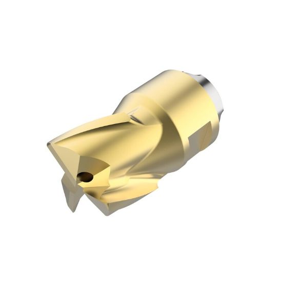 Picture of SECO MP10-10007R08Z3-E03 F40M Milling End Mill,Copy Mill,Replacable Head,90 Degree Corner Radius Carbide TiAIN + TiN