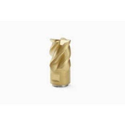 Picture of SECO 335.19-1203T-MD09 F40M Milling End Mill,Copy Mill,Replacable Head,90 Degree Corner Radius Carbide TiAIN + TiN