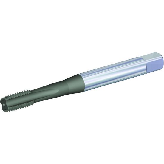 Picture of WIDIA/KENNAMETAL GX505005 M5-0.80MM Cut Straight Flute Mod Bottom 2.0P-3.0P Carbide TiCN