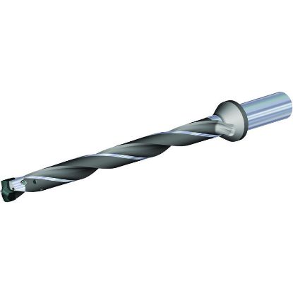 Picture of WIDIA/KENNAMETAL TDMX1182R12SF125 TDMX BODY D1.182 12XD SF Shank