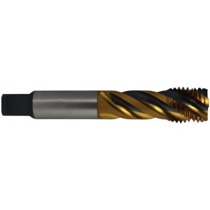 Picture of YG-1 BGD42GB 2-8.00TPI Cut Spiral Flute Mod Bottom 2.0P-3.0P HSS-EX Gold-Black
