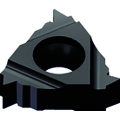 Picture of ZCC RT16.01N-14BSPTB YBG202 Insert Iso Thread Full Profile TiAlN 14.00TPI BSPT