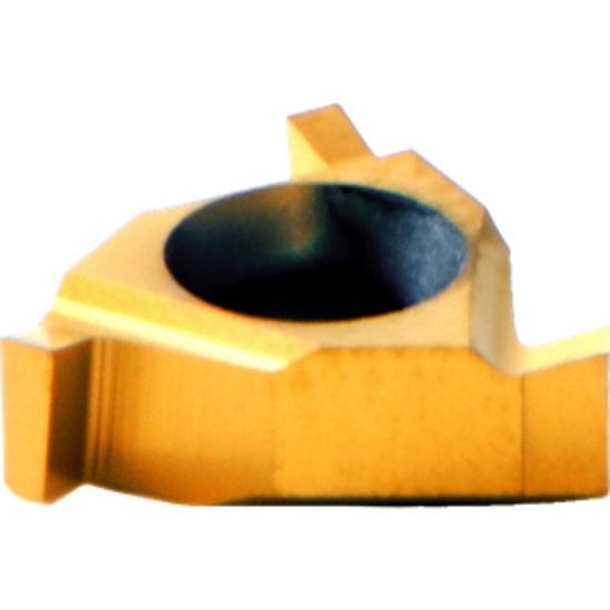 Picture of CARMEX 11IREL0039BXC Threading Insert Internal Right TiN ISO 11