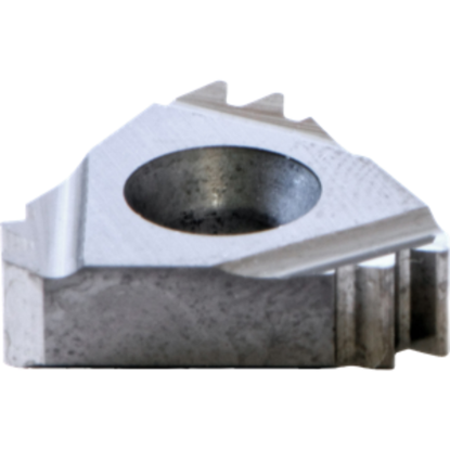 Picture of CARMEX 22ER10APIRD2MP30 Threading Insert 10.00TPI Round External Right ISO 22