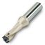 Picture of INGERSOLL YD160004818R01 0.6299 (16.0 mm) QwikTwist Body