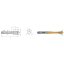 Picture of LMT FETTE 1401375 M8-1.25MM Cut Spiral Point Plug 2.0P-3.0P HSSE-Powder Metal TiCN +